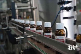 惠城高質量發展企業行④ 銀農科技 黑燈工廠 開啟農藥 智造